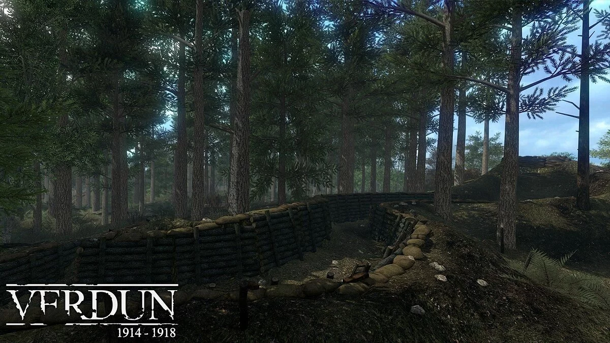 Скриншоты из Verdun / Картинка 21