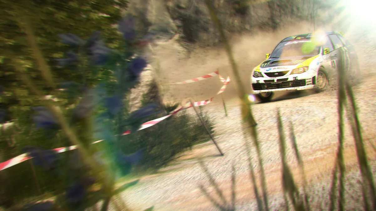 Скриншоты из Colin McRae: DiRT 2 / Картинка 42