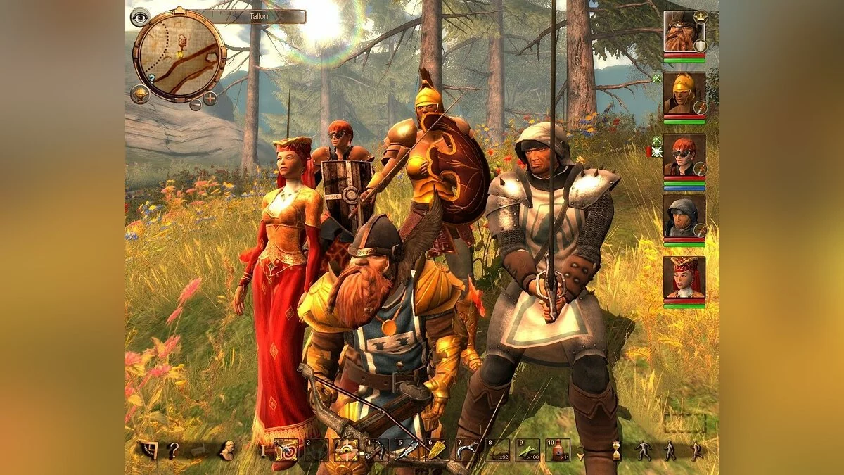 Скриншоты из Drakensang Online / Картинка 10