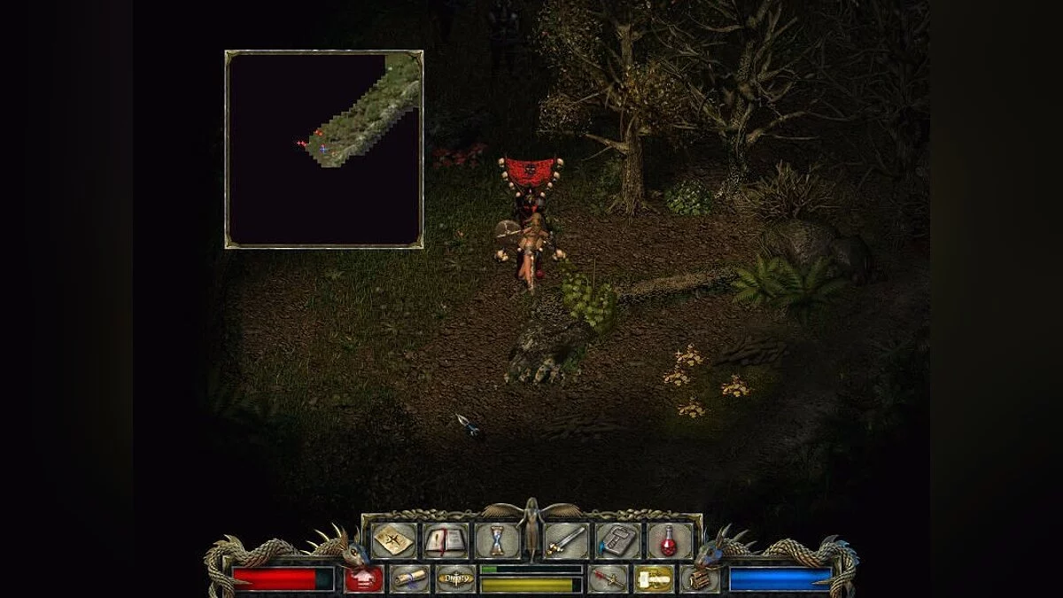 Скриншоты из Divine Divinity / Картинка 31