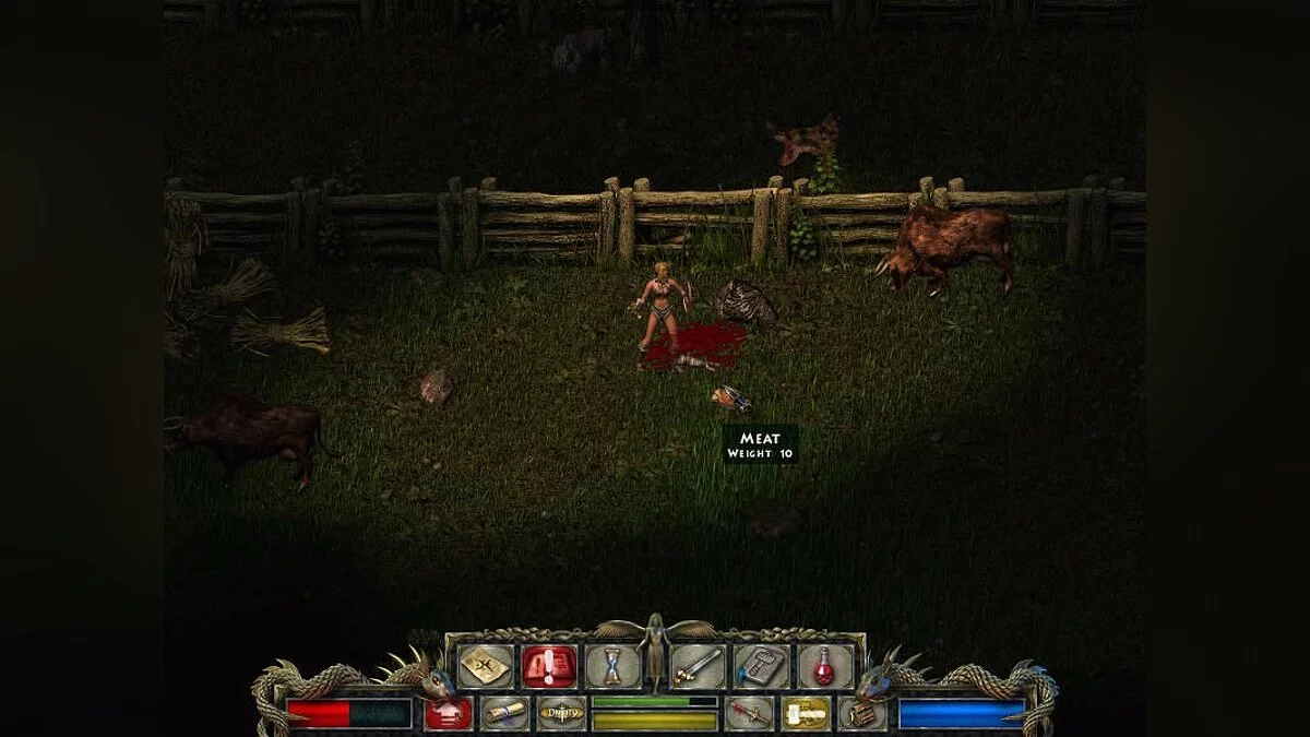 Скриншоты из Divine Divinity / Картинка 35