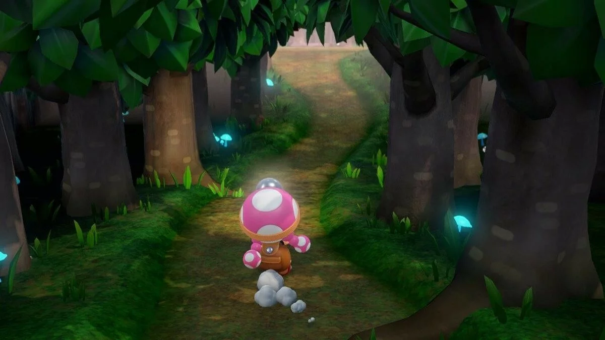 Скриншоты из Captain Toad Treasure Tracker / Картинка 111