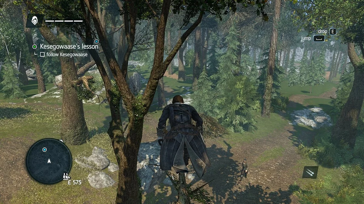 Скриншоты из Assassin's Creed: Rogue / Картинка 44