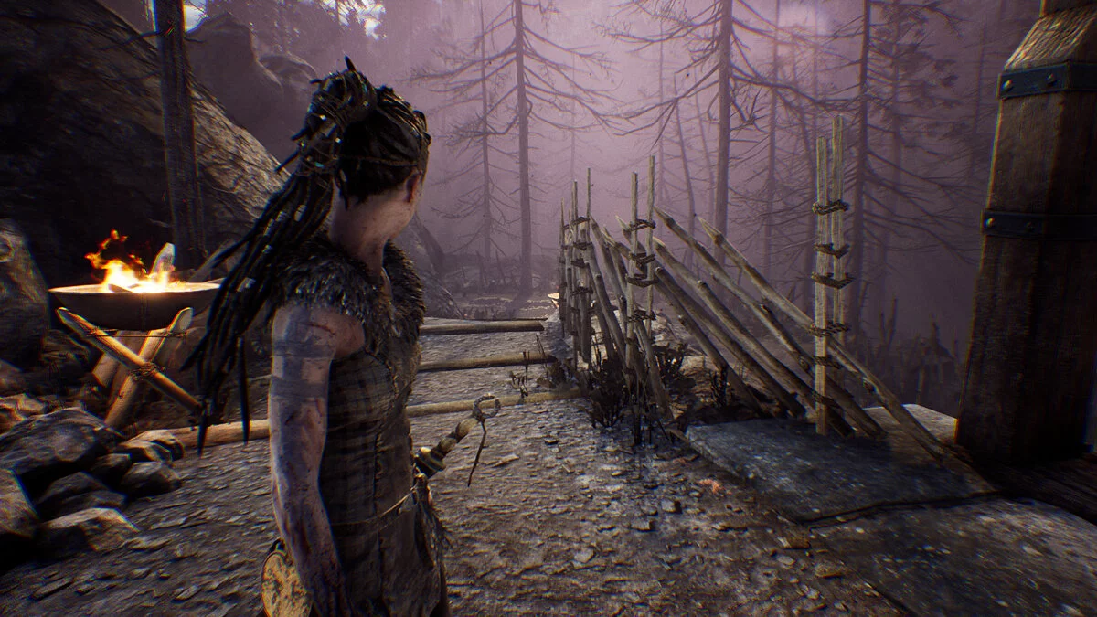 Скриншоты из Hellblade: Senua's Sacrifice / Картинка 78