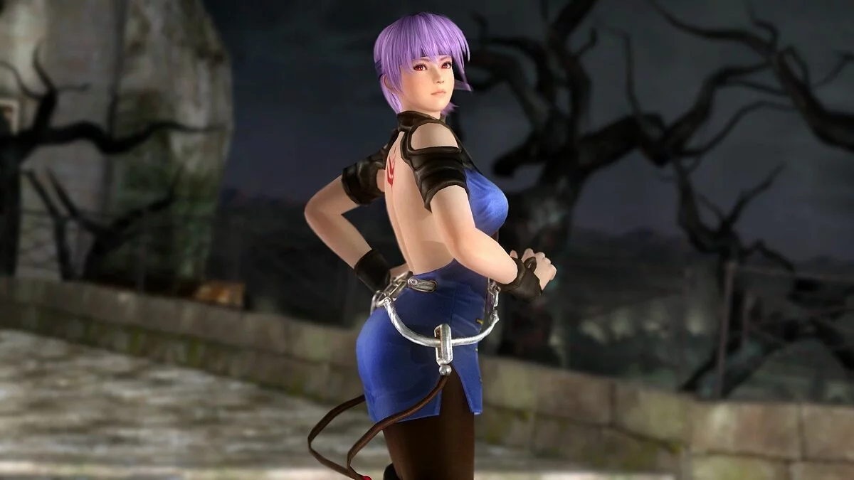 Скриншоты из Dead or Alive 5: Last Round / Картинка 65