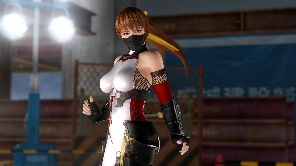 Скриншоты из Dead or Alive 5: Last Round / Картинка 19
