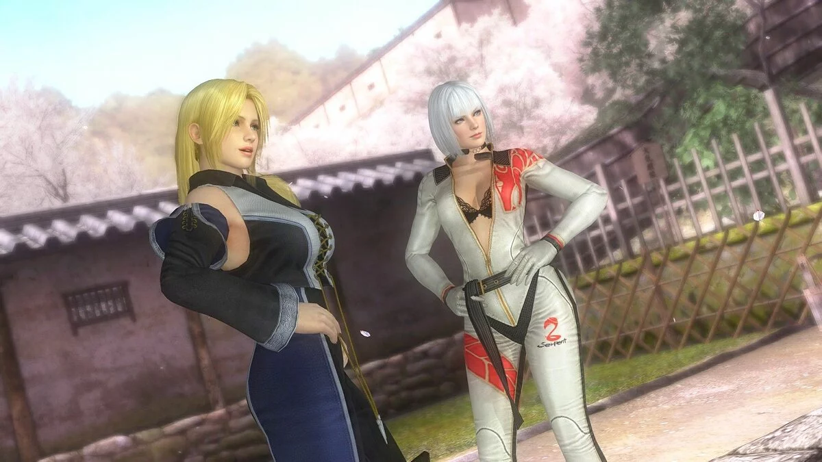 Скриншоты из Dead or Alive 5: Last Round / Картинка 94