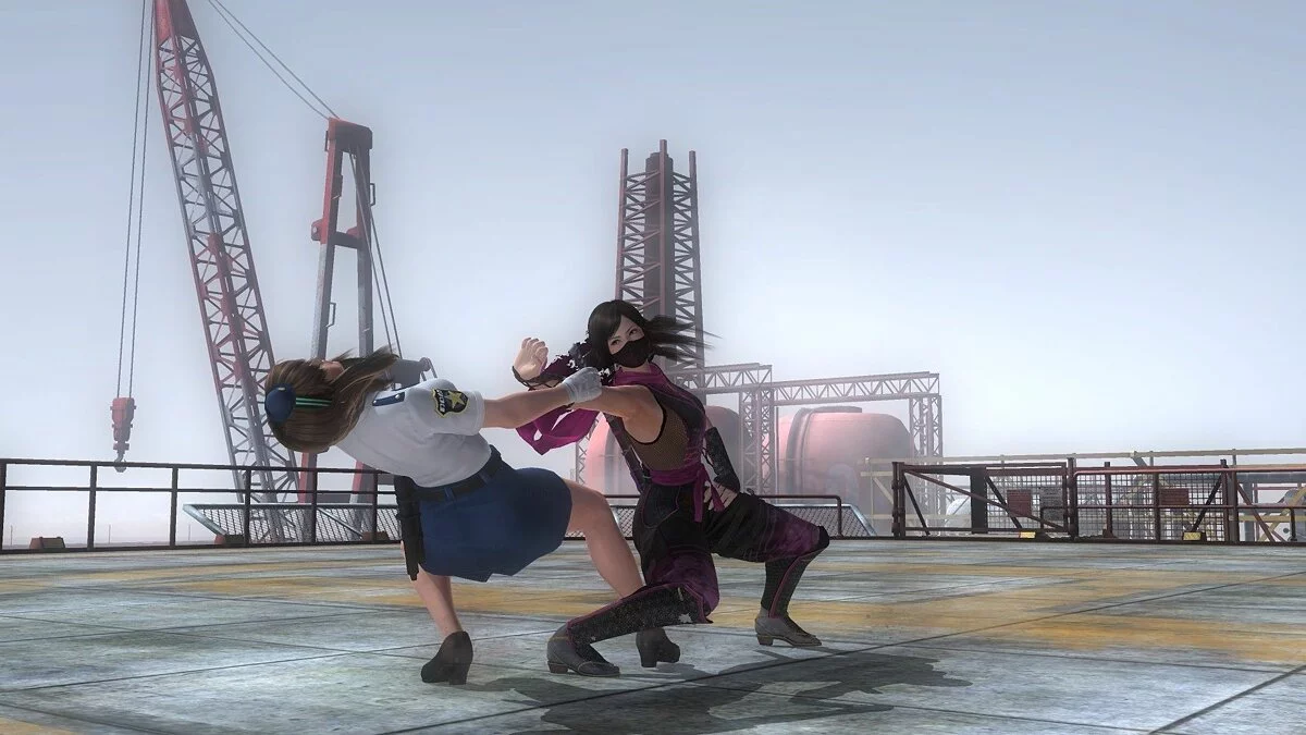 Скриншоты из Dead or Alive 5: Last Round / Картинка 103
