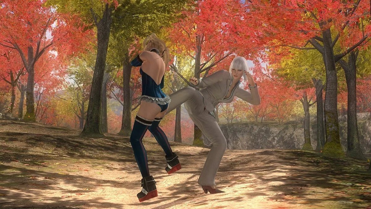 Скриншоты из Dead or Alive 5: Last Round / Картинка 89