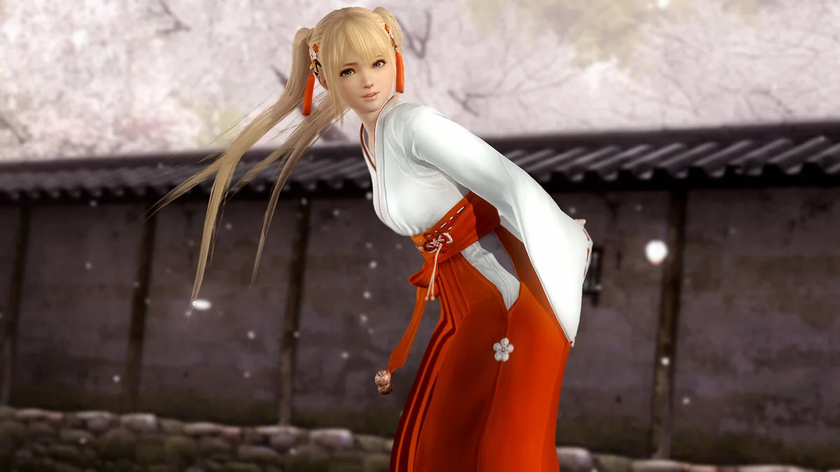 Скриншоты из Dead or Alive 5: Last Round / Картинка 171
