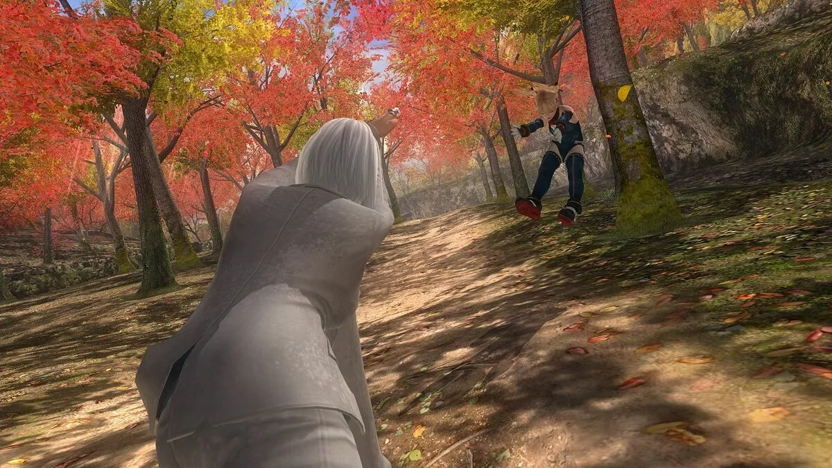 Скриншоты из Dead or Alive 5: Last Round / Картинка 84