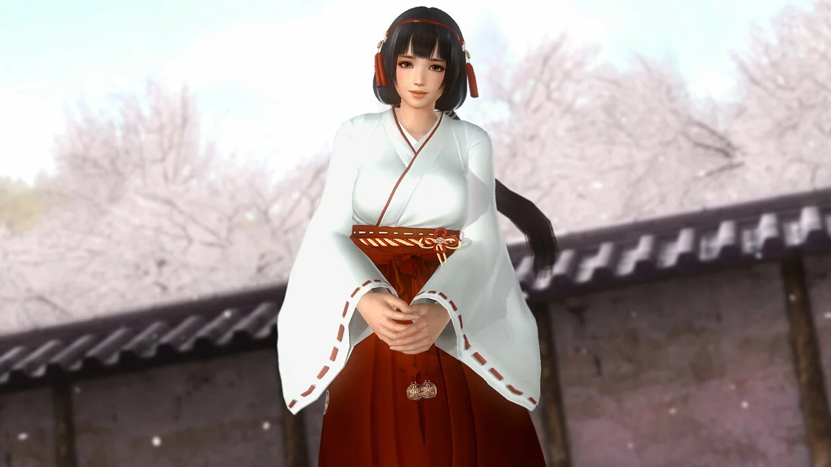 Скриншоты из Dead or Alive 5: Last Round / Картинка 192