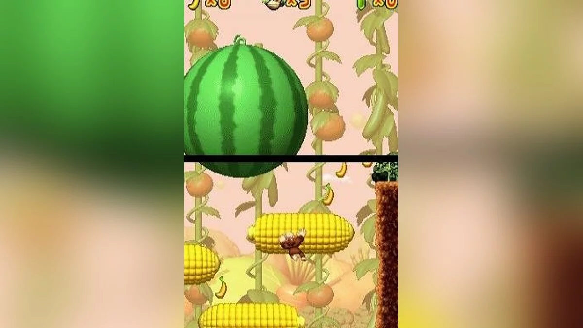 Скриншоты из DK: Jungle Climber / Картинка 81