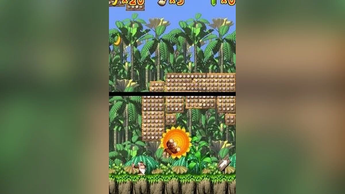 Скриншоты из DK: Jungle Climber / Картинка 83