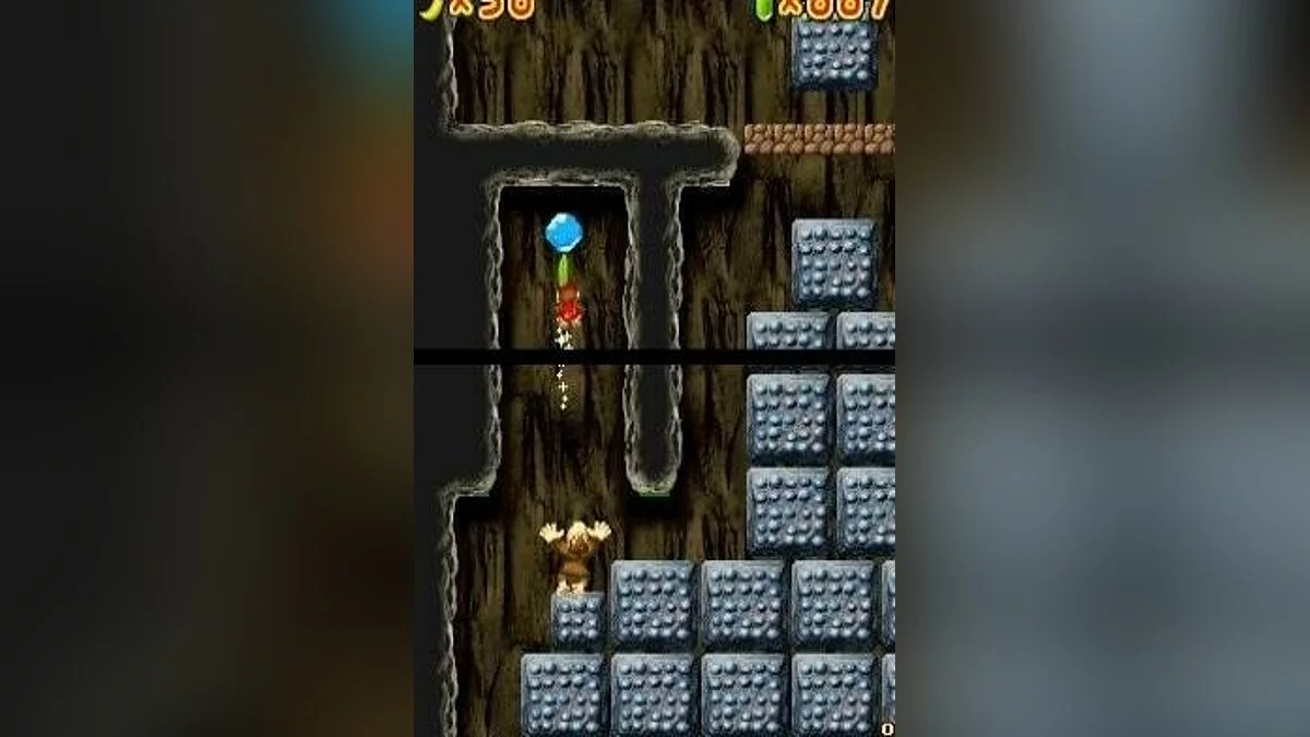Скриншоты из DK: Jungle Climber / Картинка 86