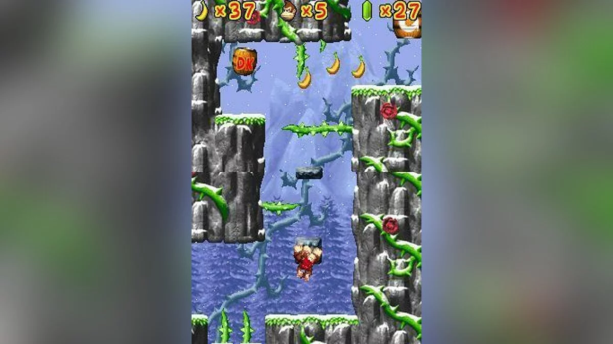 Скриншоты из DK: Jungle Climber / Картинка 2