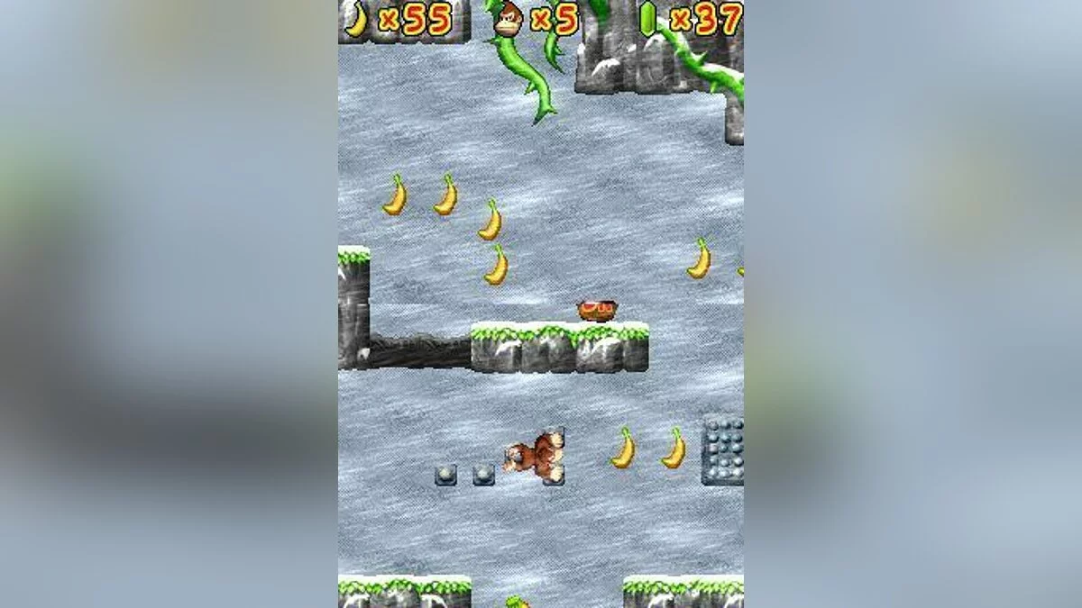 Скриншоты из DK: Jungle Climber / Картинка 3