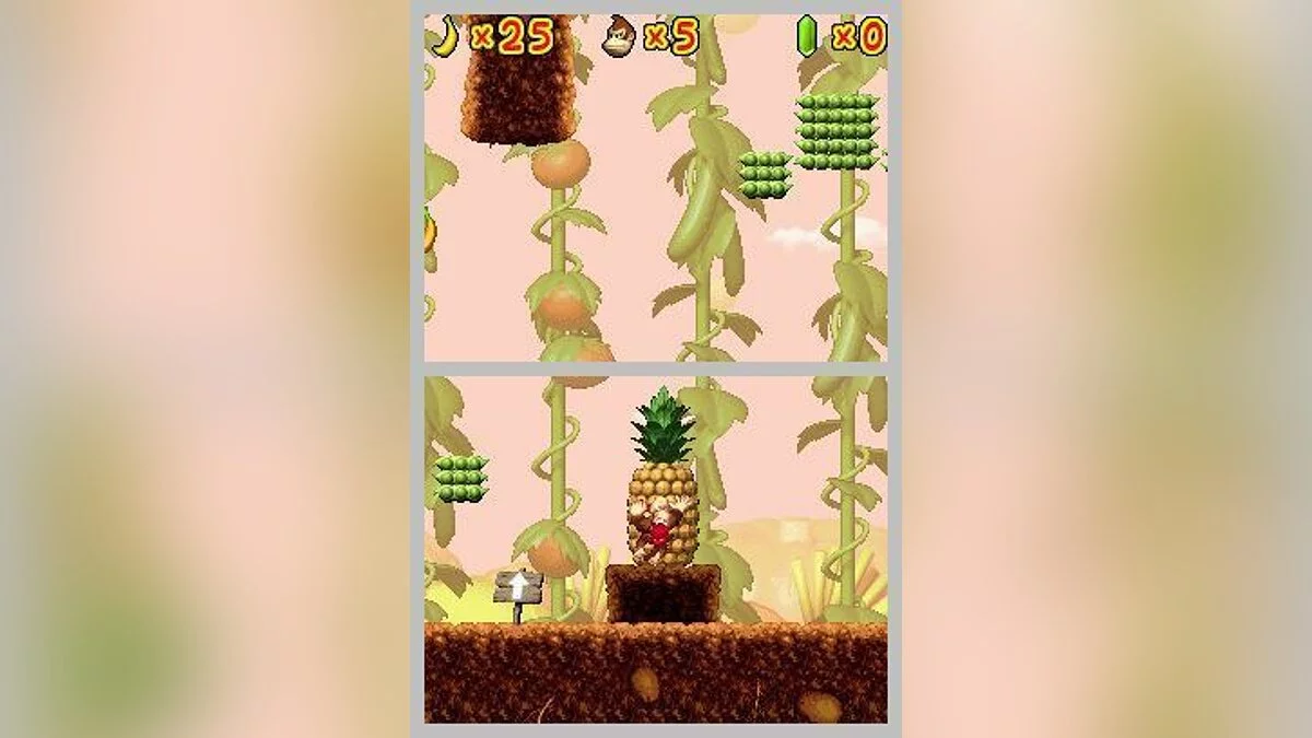 Скриншоты из DK: Jungle Climber / Картинка 13