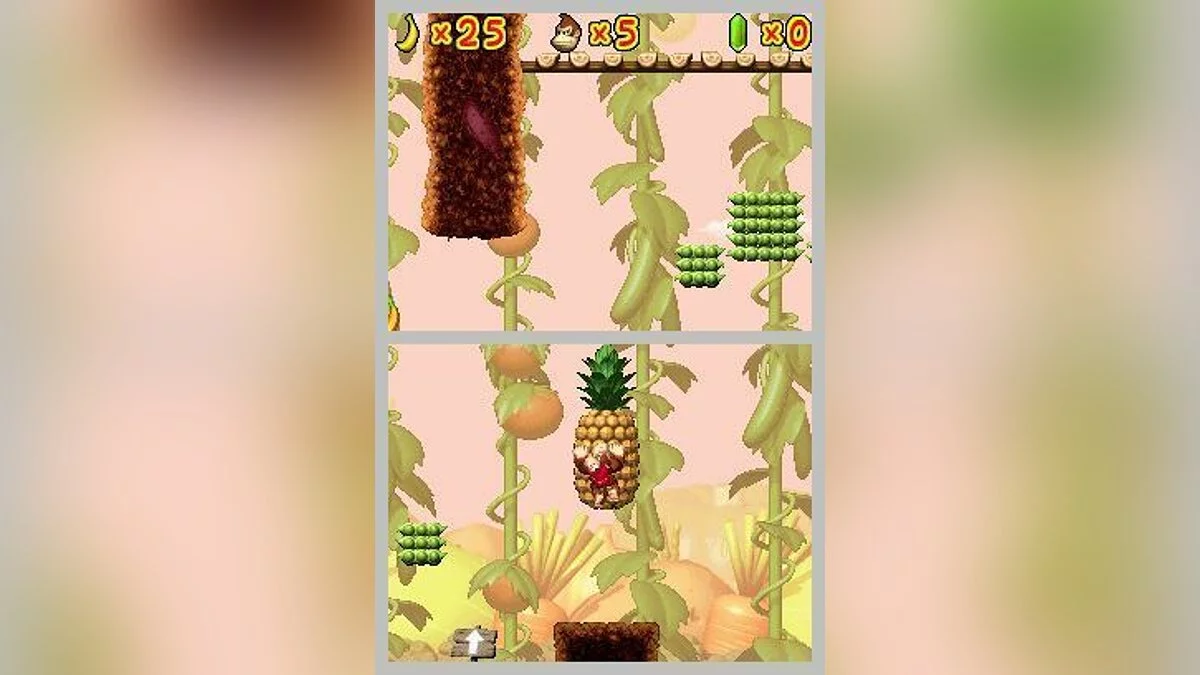 Скриншоты из DK: Jungle Climber / Картинка 14