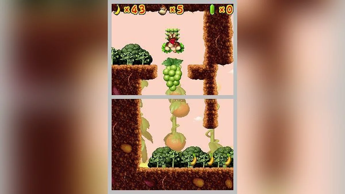 Скриншоты из DK: Jungle Climber / Картинка 17