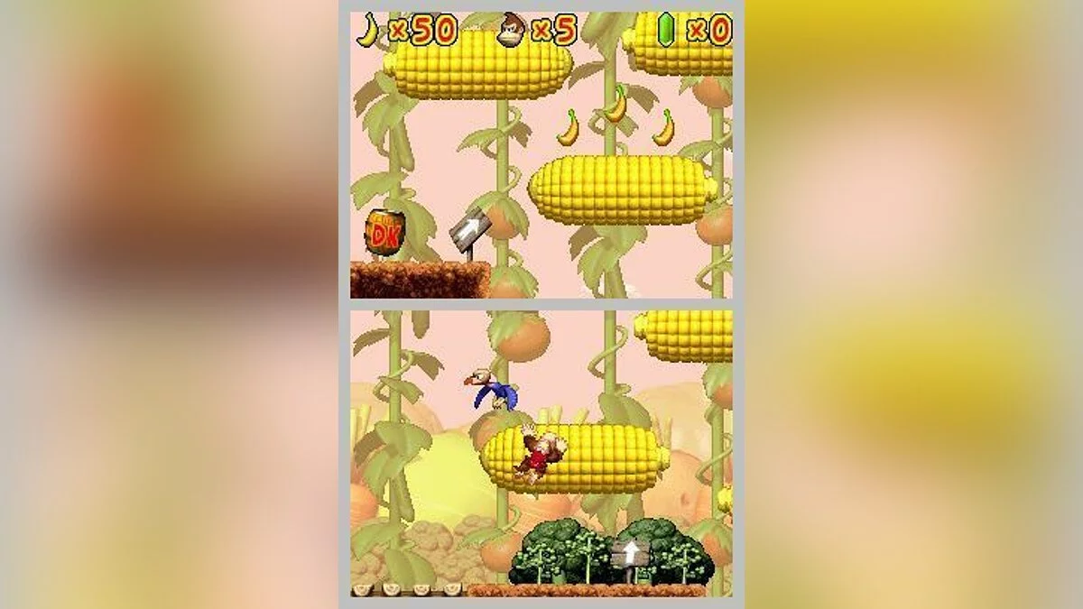 Скриншоты из DK: Jungle Climber / Картинка 18