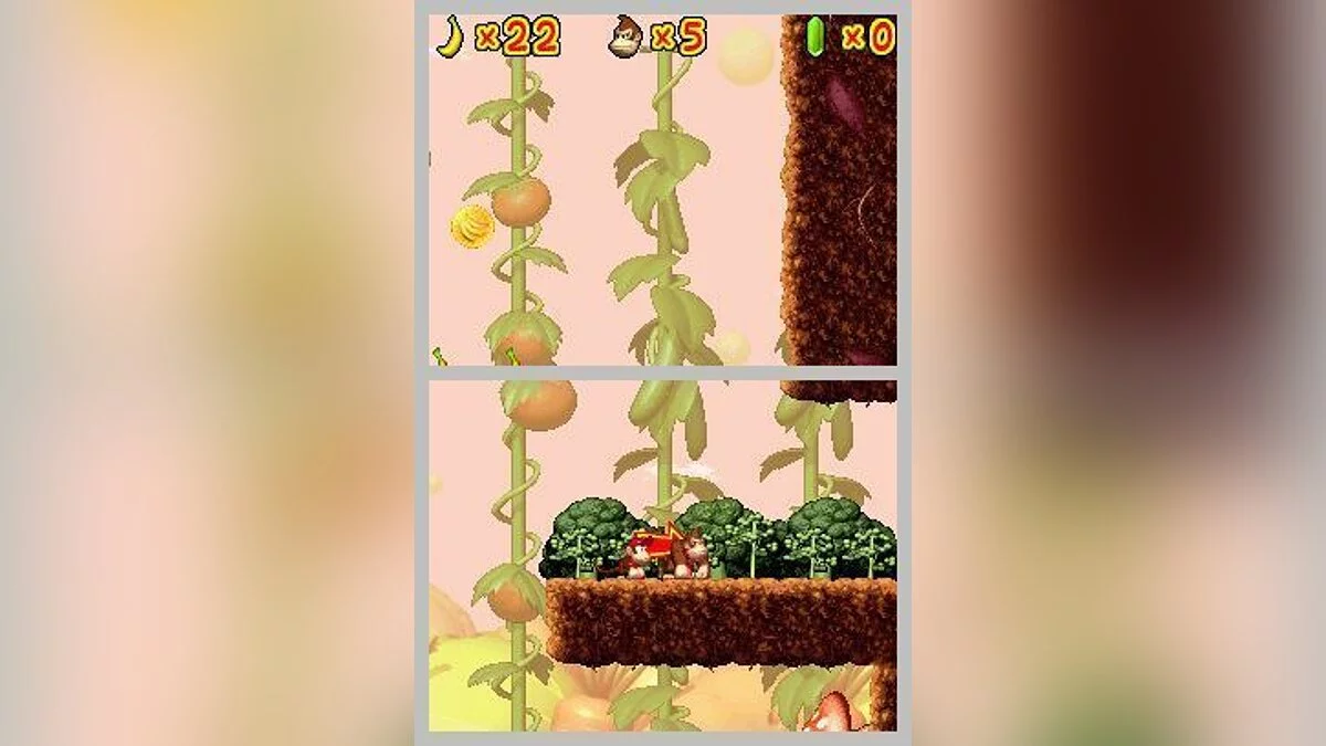 Скриншоты из DK: Jungle Climber / Картинка 23