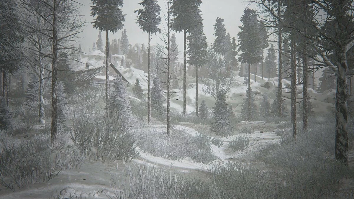 Скриншоты из Kholat / Картинка 59