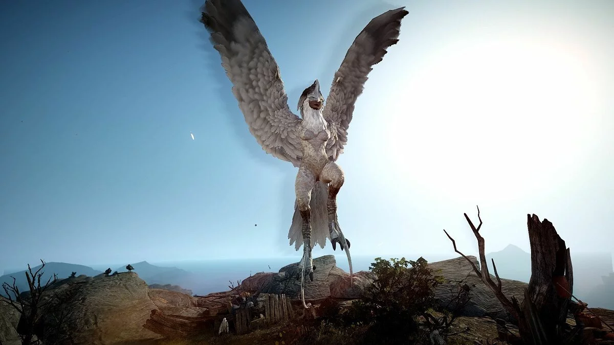 Скриншоты из Black Desert / Картинка 183