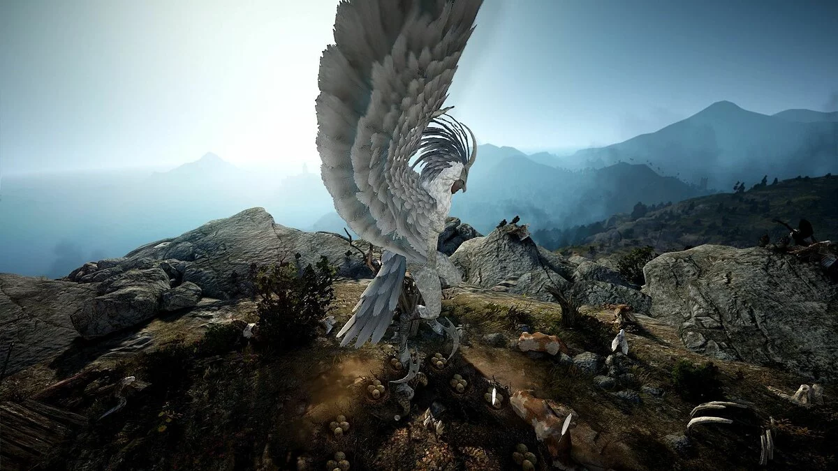 Скриншоты из Black Desert / Картинка 185