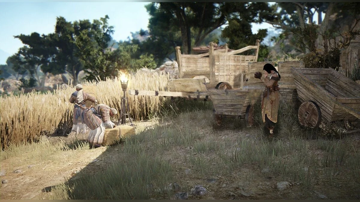 Скриншоты из Black Desert / Картинка 169
