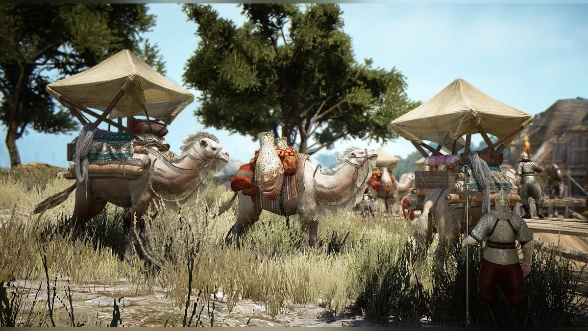 Скриншоты из Black Desert / Картинка 171