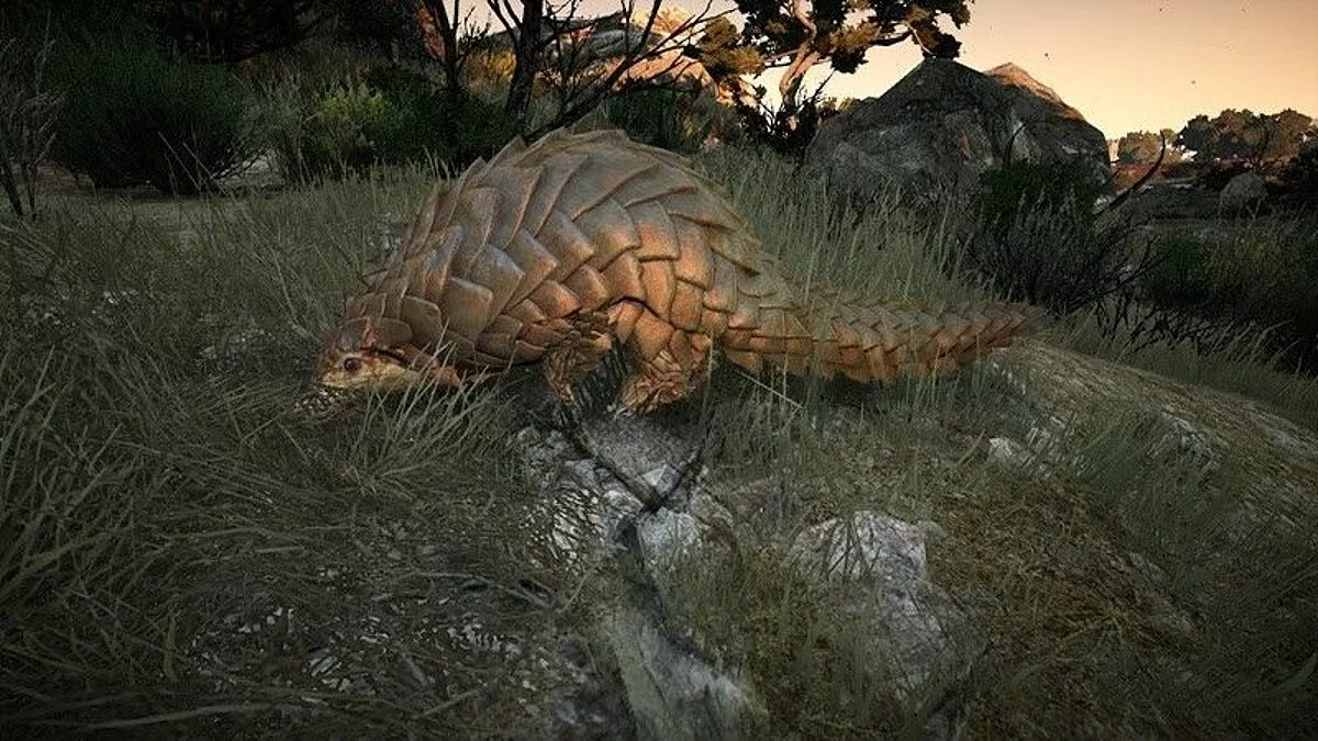 Скриншоты из Black Desert / Картинка 39