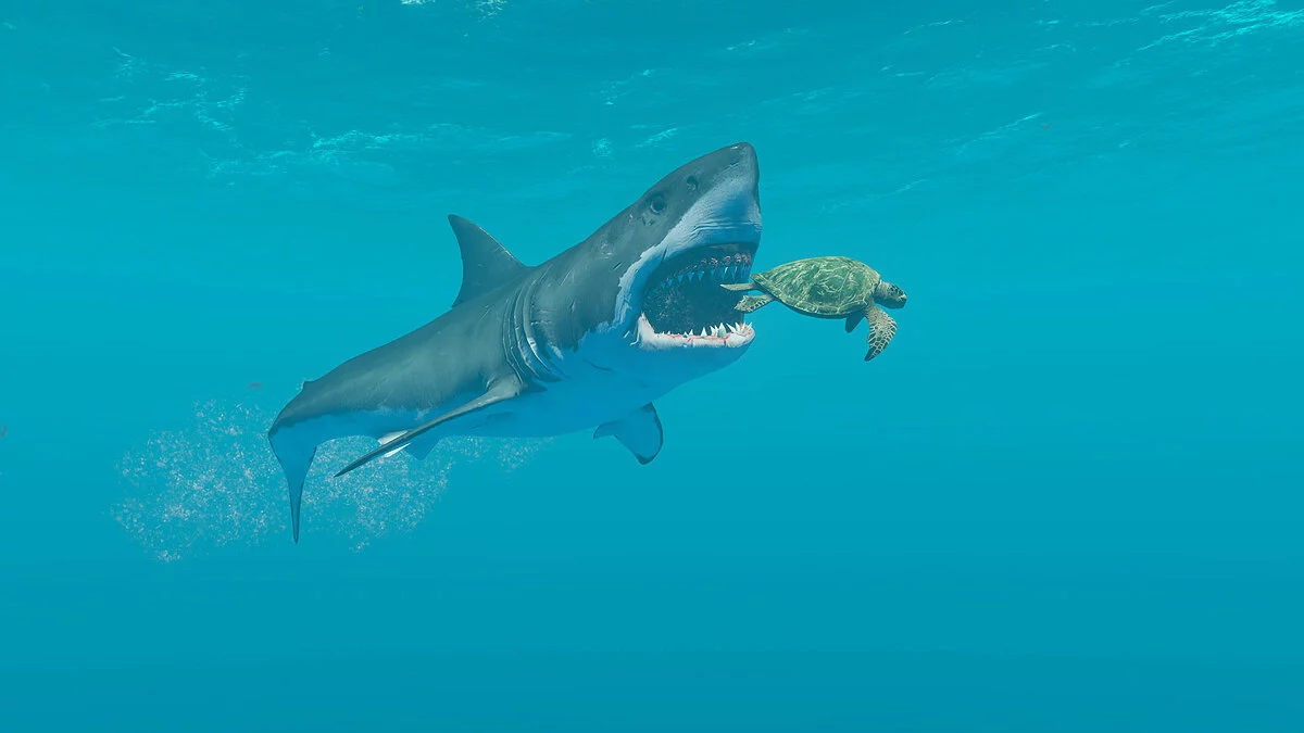 Скриншоты из Stranded Deep / Картинка 16