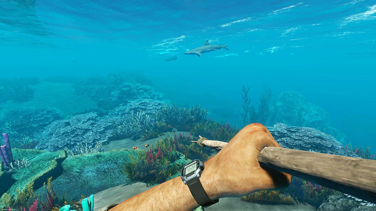 Скриншоты из Stranded Deep / Картинка 17
