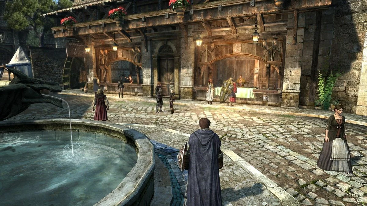 Скриншоты из Dragon's Dogma Online / Картинка 28