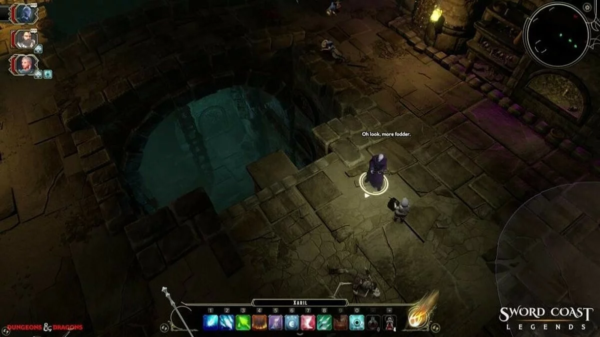 Скриншоты из Sword Coast Legends / Картинка 57
