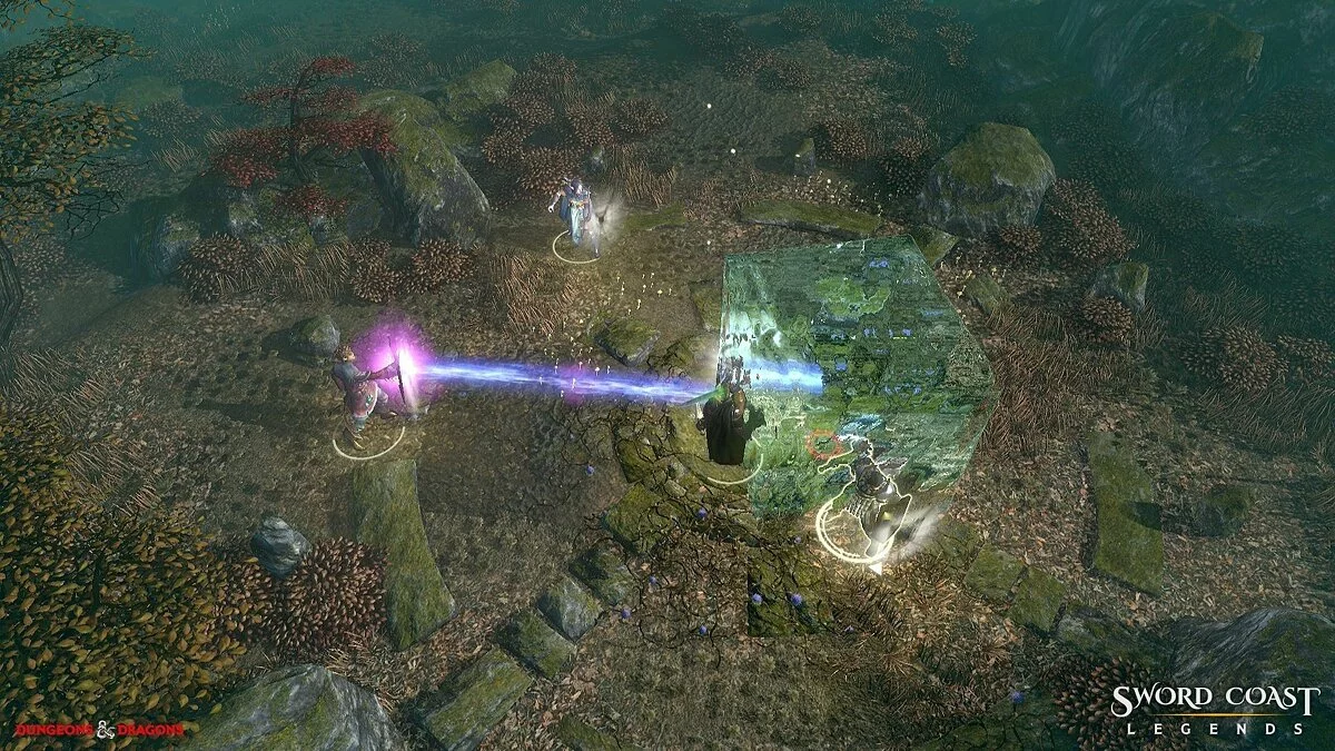 Скриншоты из Sword Coast Legends / Картинка 31