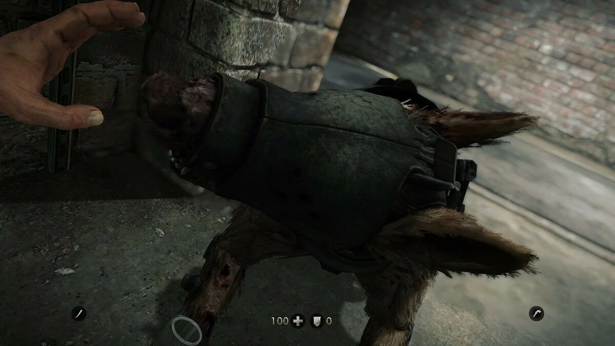 Скриншоты из Wolfenstein: The Old Blood / Картинка 72