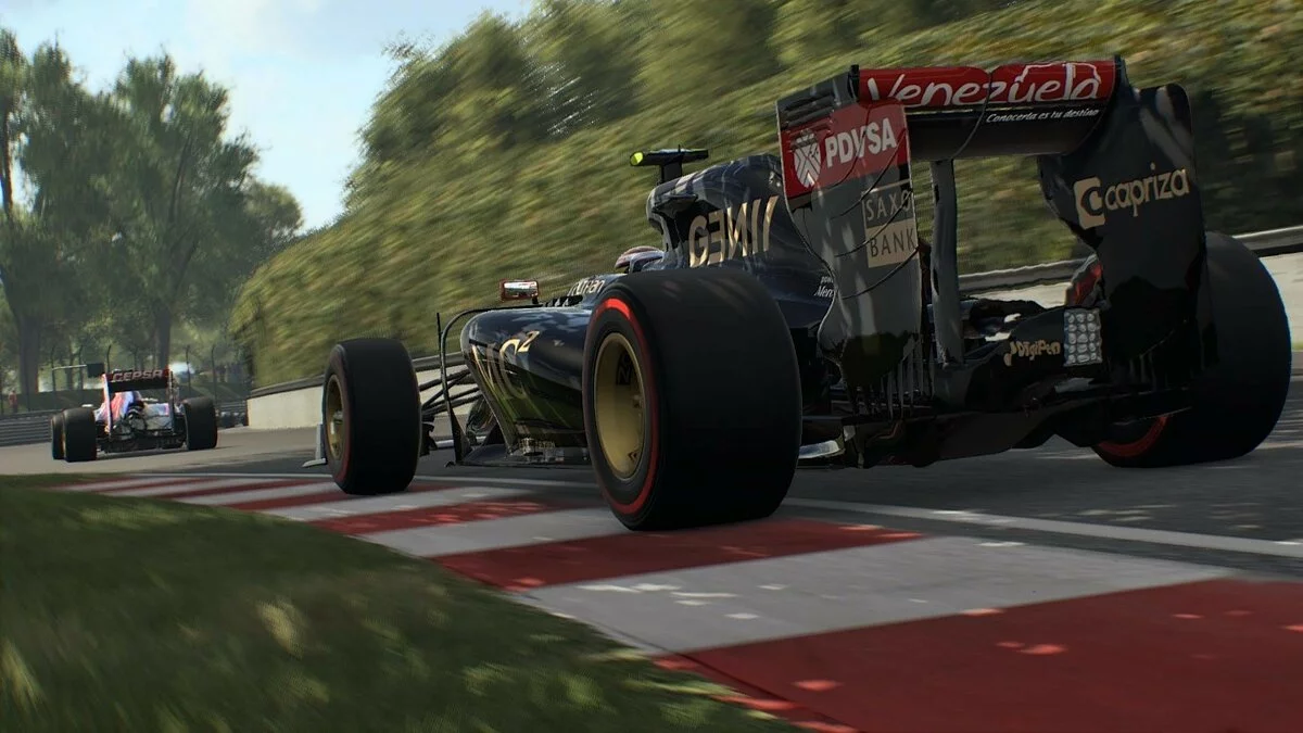 Скриншоты из F1 2015 / Картинка 20
