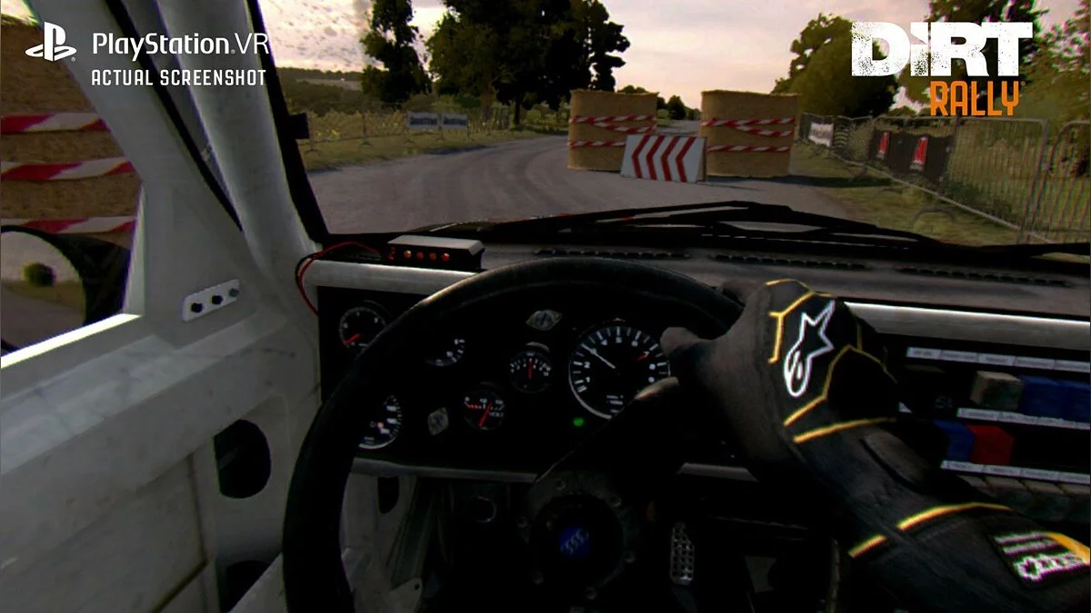 Скриншоты из DiRT Rally / Картинка 76