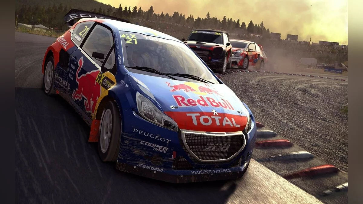 Скриншоты из DiRT Rally / Картинка 120