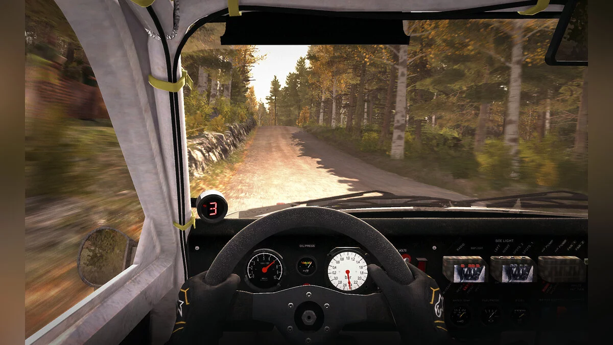 Скриншоты из DiRT Rally / Картинка 29