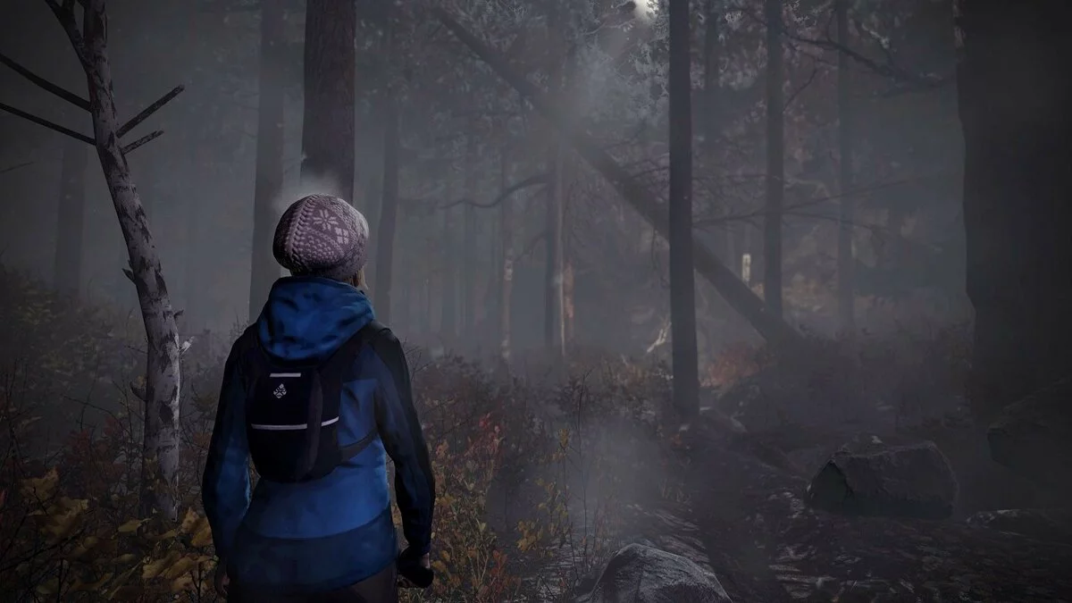 Скриншоты из Through the Woods / Картинка 55