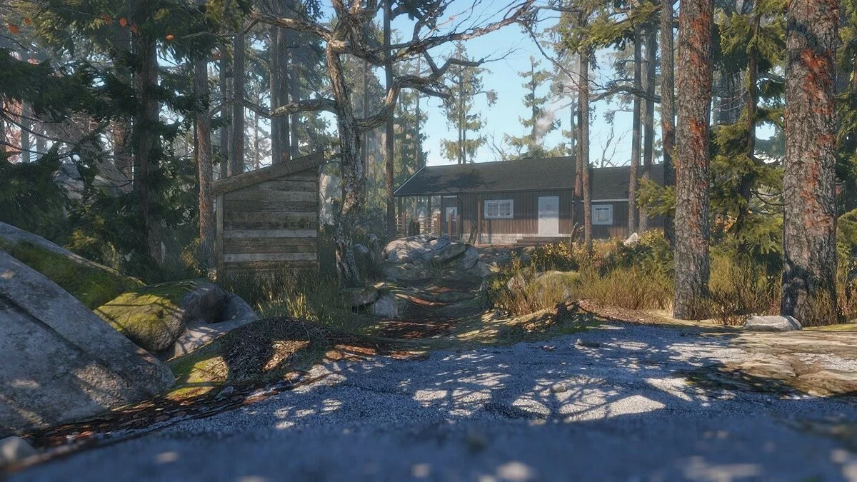Скриншоты из Through the Woods / Картинка 63