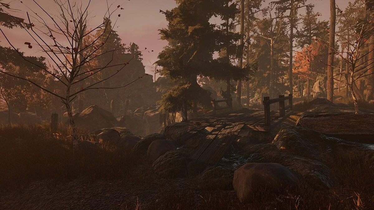 Скриншоты из Through the Woods / Картинка 8