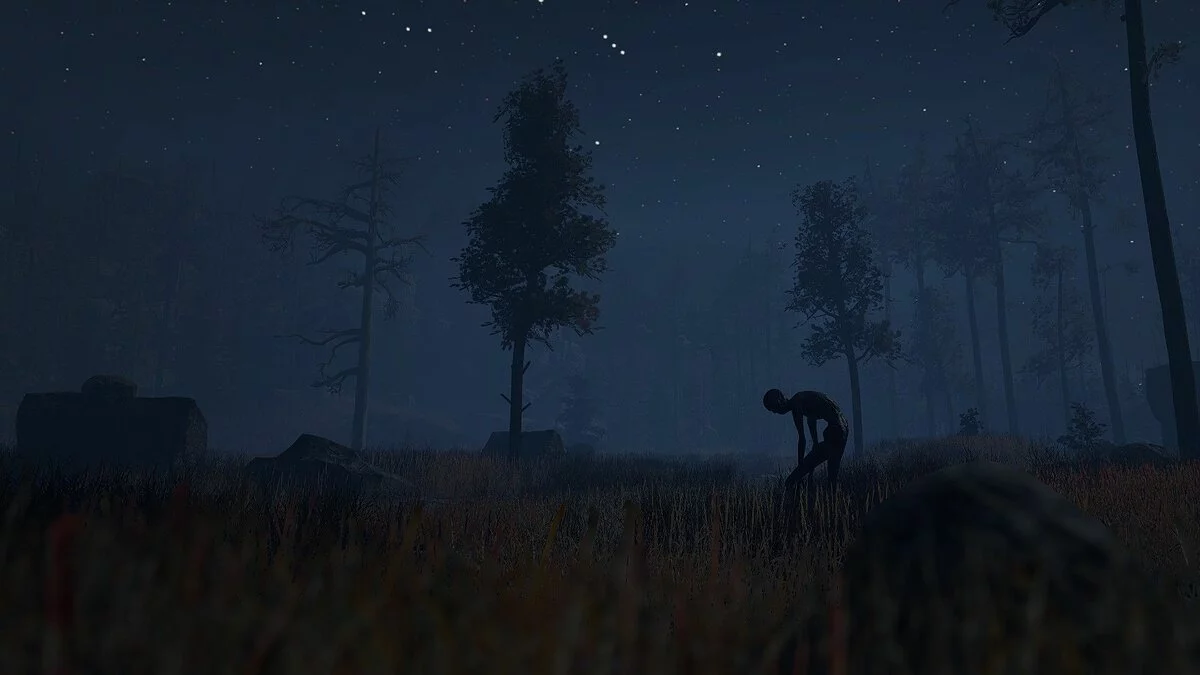 Скриншоты из Through the Woods / Картинка 9