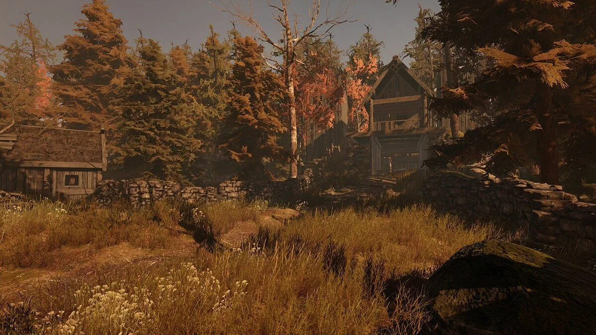 Скриншоты из Through the Woods / Картинка 10