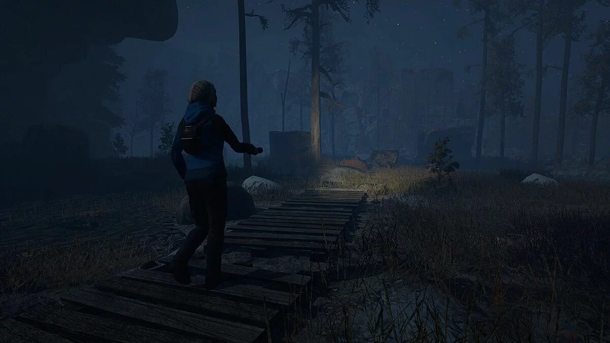 Скриншоты из Through the Woods / Картинка 12
