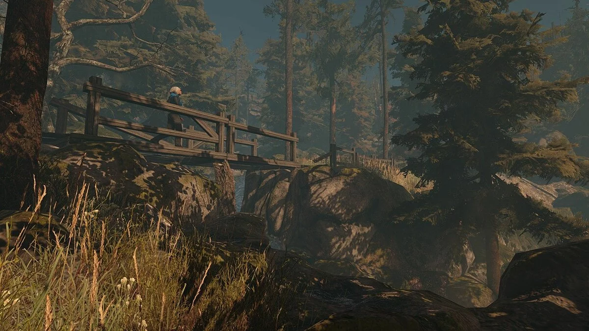 Скриншоты из Through the Woods / Картинка 13