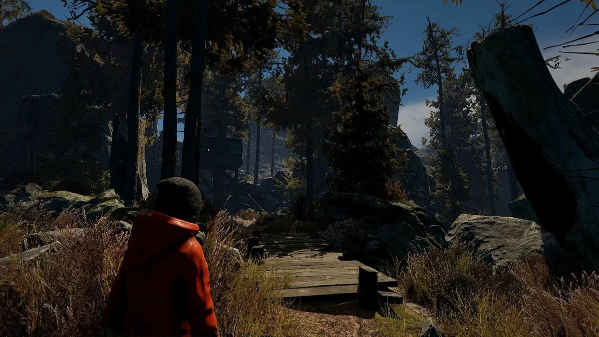 Скриншоты из Through the Woods / Картинка 15